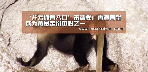 开云体育入口