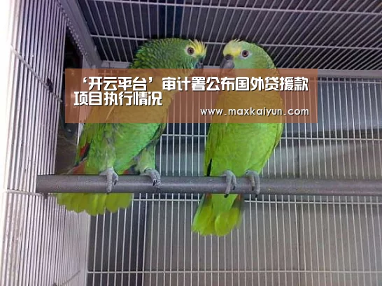 开云体育移动端