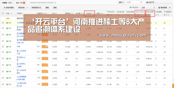 开云平台
