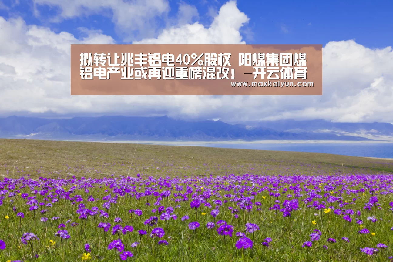 开云体育入口