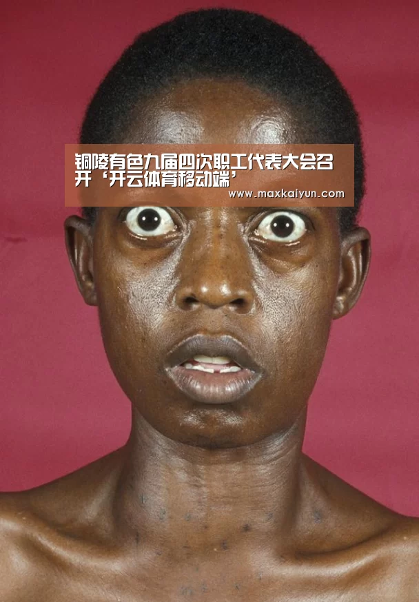 开云体育入口