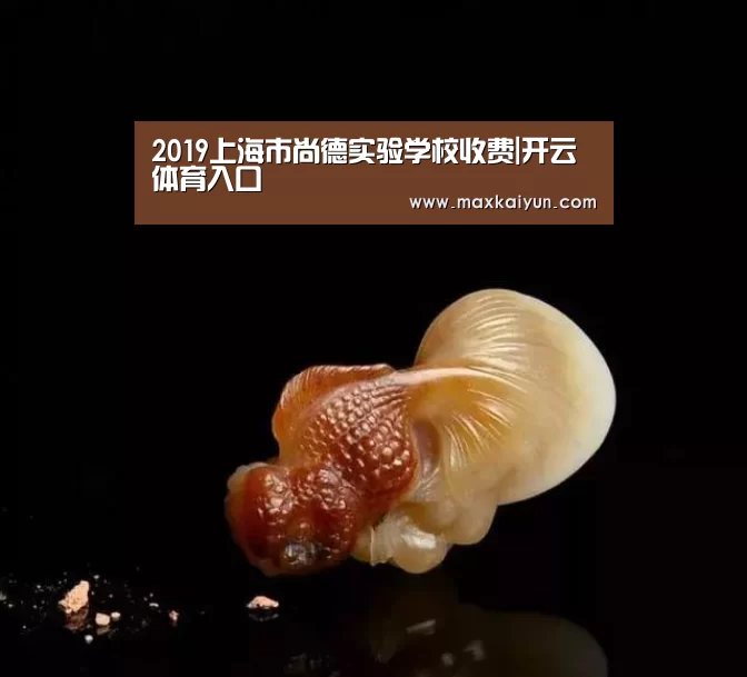 2019上海市尚德实验学校收费|开云体育入口(图1) 开云体育移动端