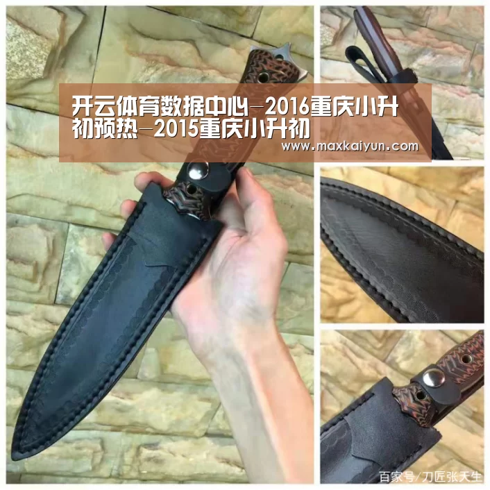 开云体育数据中心-2016重庆小升初预热-2015重庆小升初(图1) 开云体育数据中心