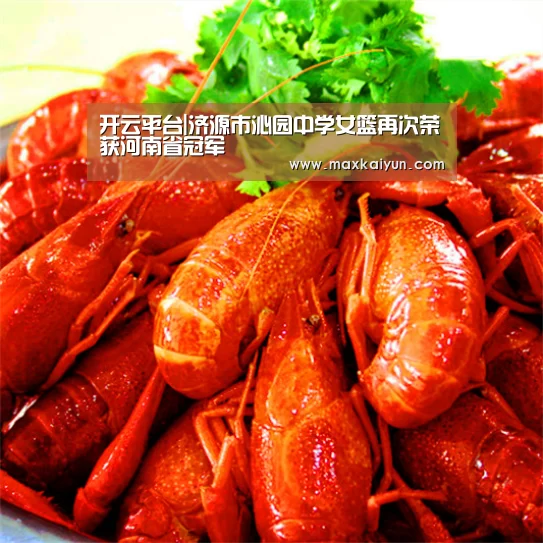 开云体育入口
