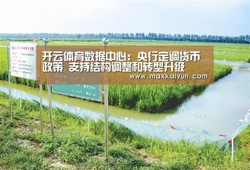 开云体育数据中心:央行定调货币政策 支持结构调整和转型升级(图1) KAIYUN中国站