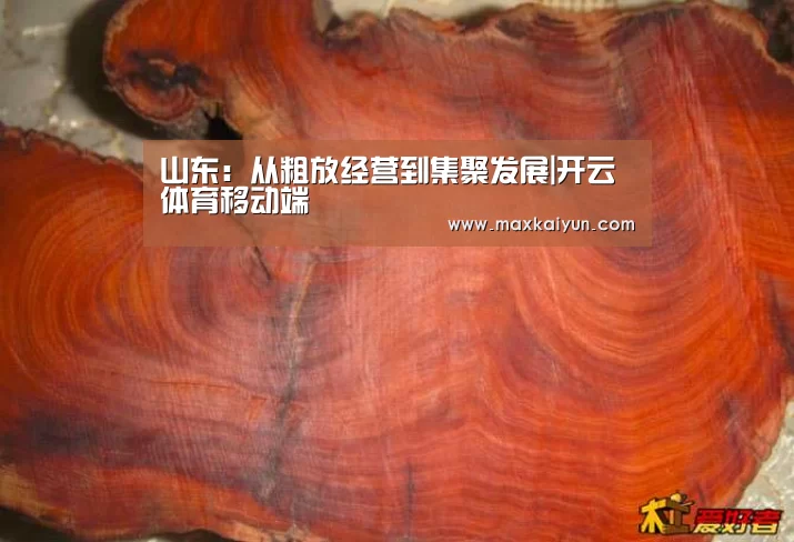 山东:从粗放经营到集聚发展|开云体育移动端(图2) KAIYUN中国站