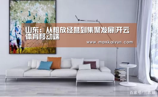山东:从粗放经营到集聚发展|开云体育移动端(图1) KAIYUN中国站