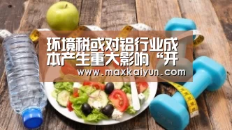 开云体育移动端