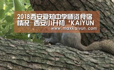 开云平台